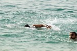 120 متنافس في سباقات السباحة على كورنيش المرفأ