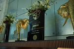 Rose Rayhaan by Rotana Wins Best City Hotel and Best Hotel View at 2026 Haute Grandeur Global Awards