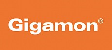Gigamon Gigamon