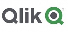 Qlik Qlik