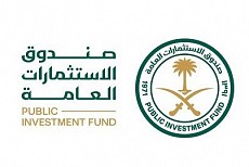 Public Investment Fund Public Investment Fund