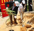 McDonald’s UAE plants the final of 350 trees