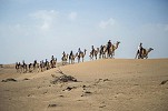 Game adventurers reach halfway point on epic, tech-free Camel Trek