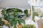 Al Noor Island Provides Perfect Environment for Learn About Butterflies Day