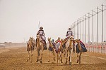 And they’re off! Crown Prince Camel Festival starts in Taif