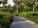 Umm Al Emarat Park supports World Environment Day with 'GreenWall Initiative'