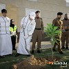 بدجت السعودية تزرع 2,000 شجرة في مدينة جدة