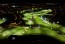 DAMAC Unveils a Premier Night Golf Experience at Trump International Golf Club Dubai